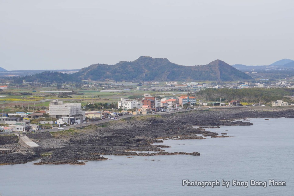 제주 서귀포 가볼만한곳 서귀포 여행 제주 송악산 둘레길 외 제주도 관광지 다섯