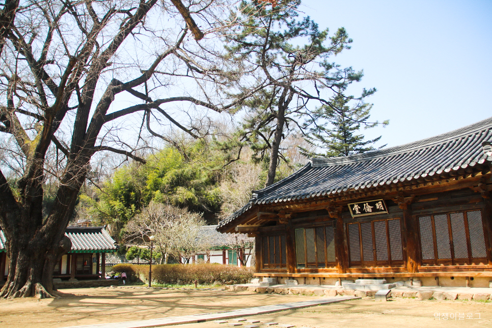 전북 가볼만한곳 전주한옥마을 볼거리 전주전통술박물관, 전주향교
