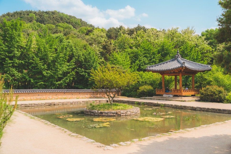 [대구 가볼 만한 곳] 전국~ 대구 자랑~! 대구 여행 코스 :: 금호꽃섬, 교향리 이팝나무군락지, 옥연지 송해공원, 안지랑곱창골목, 스파크랜드, 대구 수목원, 두낫디스터브 비슬산