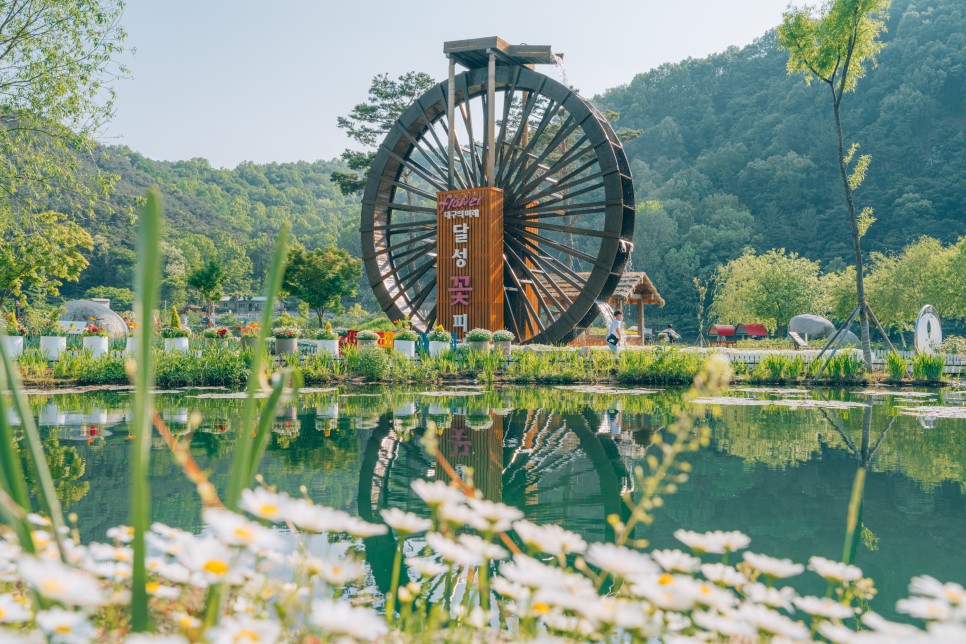 [대구 가볼 만한 곳] 전국~ 대구 자랑~! 대구 여행 코스 :: 금호꽃섬, 교향리 이팝나무군락지, 옥연지 송해공원, 안지랑곱창골목, 스파크랜드, 대구 수목원, 두낫디스터브 비슬산