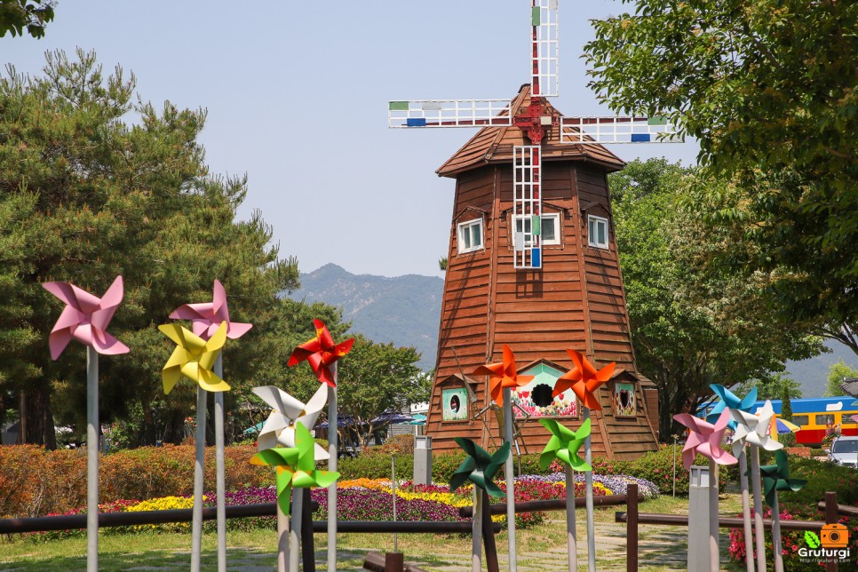 곡성 장미축제 섬진강기차마을 장미공원 장미터널 곡성세계장미축제