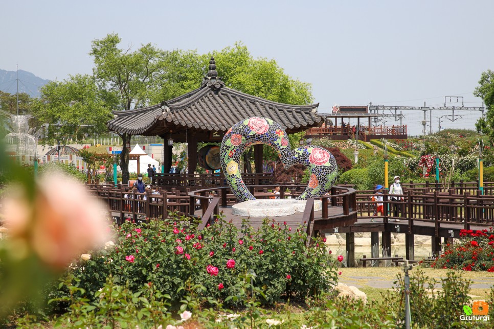 곡성 장미축제 섬진강기차마을 장미공원 장미터널 곡성세계장미축제