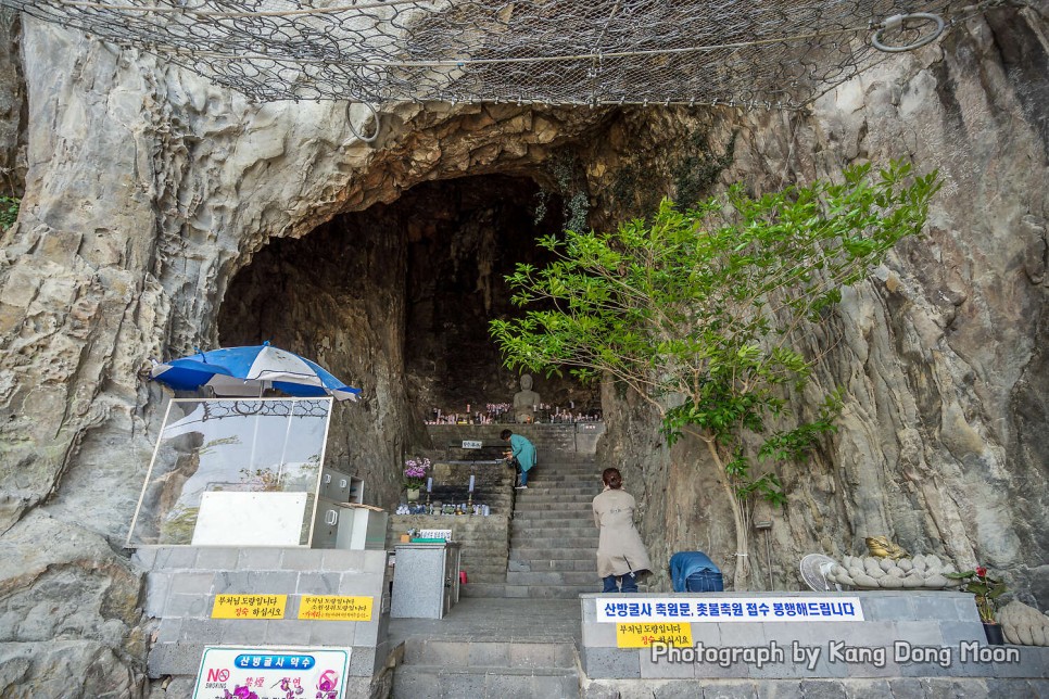 제주도 가볼만한곳 제주 오름 추천 가족여행 코스 새별오름 외 제주도 관광지