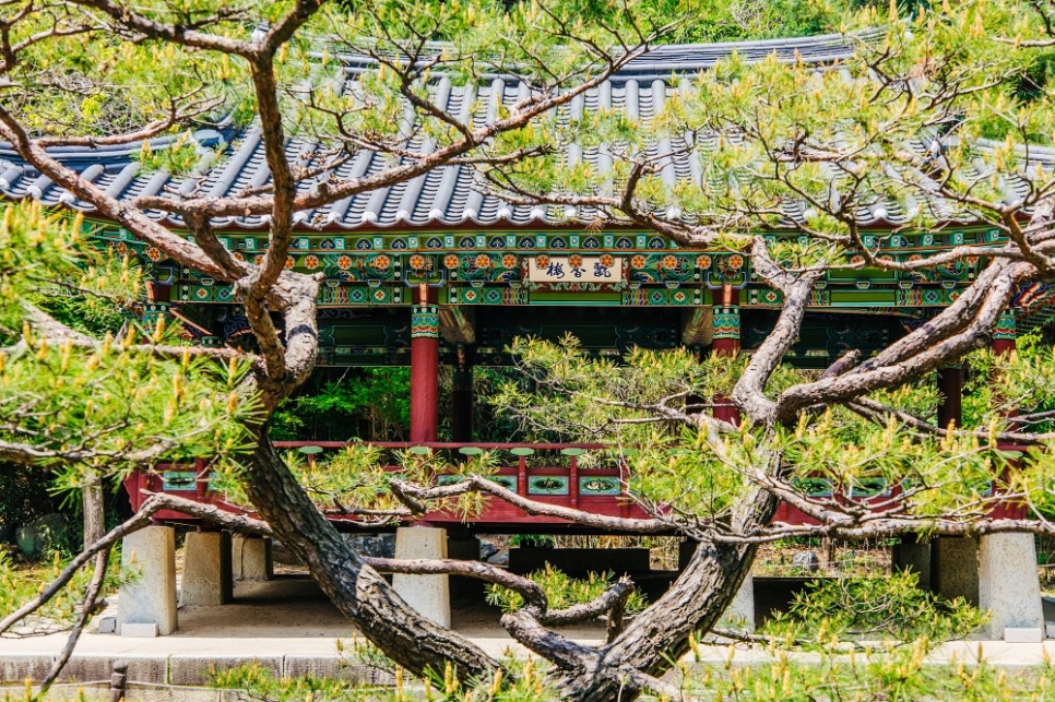 용인 한국민속촌 입장료 할인 먹거리 공연 정보 정리