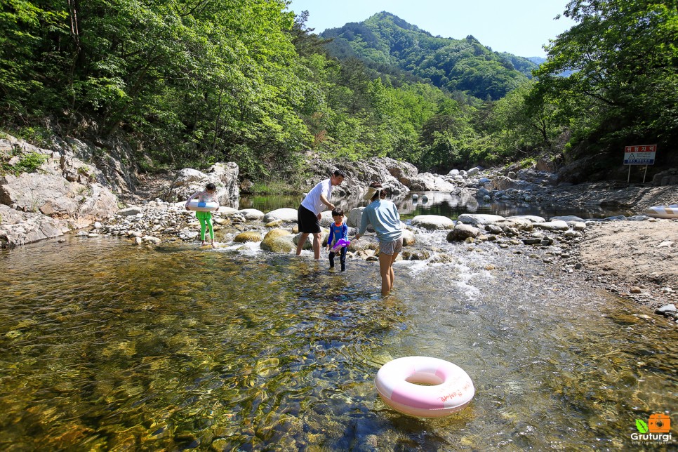 강원도 계곡 펜션 바베큐 파티 강릉 숙소 추천