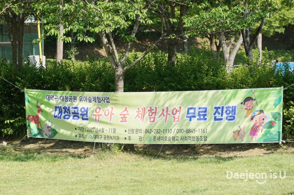 봄날 나들이하기 좋은 곳 대청공원 장미터널과 유아숲 체험원