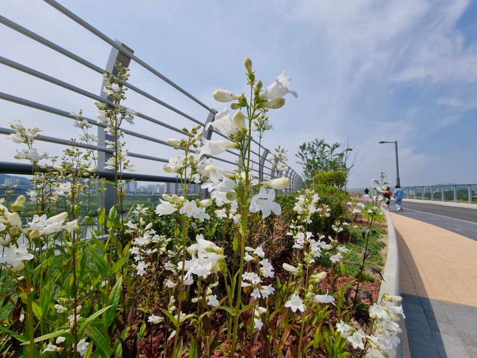 울산 가볼만한곳 정자항 바다 뷰가 매력적인 울산 풀빌라 펜션!