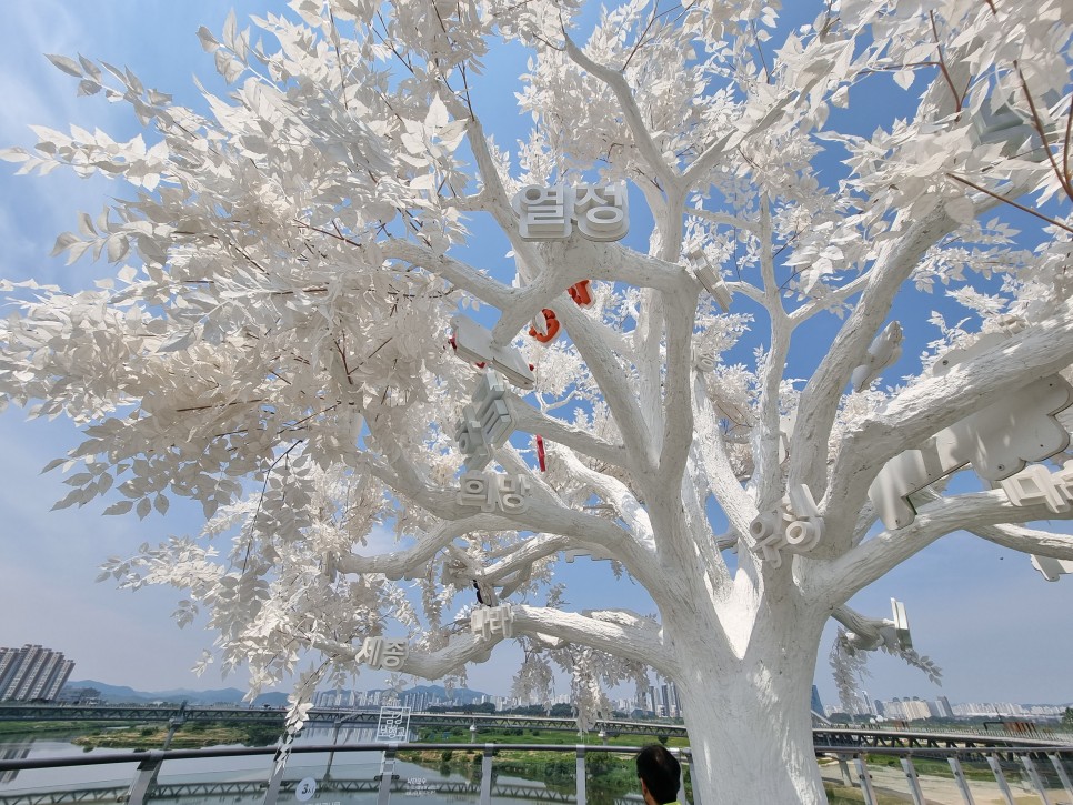 울산 가볼만한곳 정자항 바다 뷰가 매력적인 울산 풀빌라 펜션!