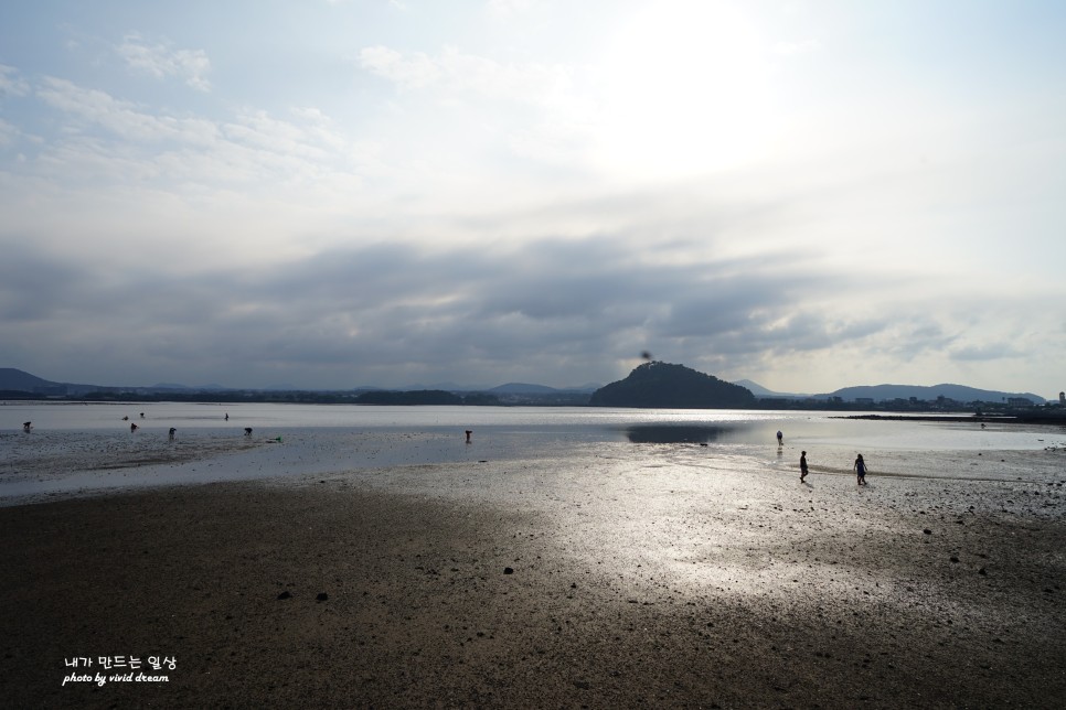 제주살이 한달살기 덕분에 만들어 본 제주 보말죽