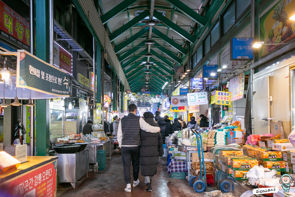 강릉 중앙시장 회센터 회포장 작년 강릉 겨울 여행