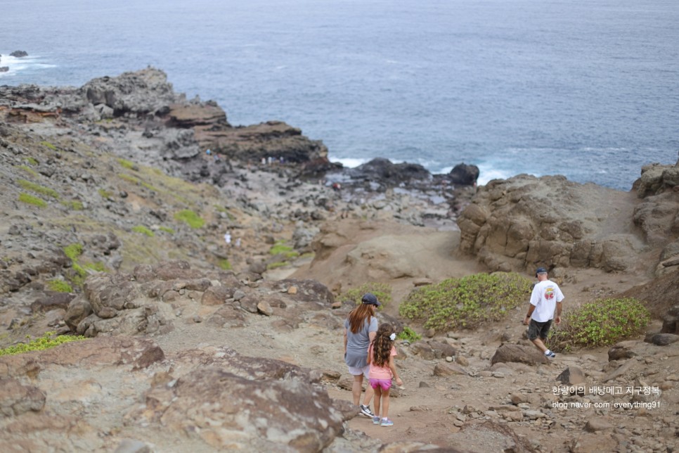 하와이 마우이 여행 서쪽 관광지 드라이브 코스 +스노쿨링 포인트