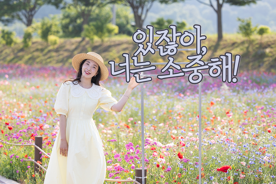 장성 황룡강 생태공원 꽃축제 꽃구경 5월 전남 여행지 추천