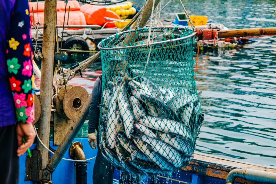 거제도 갈만한곳 바람의 언덕 맹종죽 테마공원 몽돌해수욕장 외 2곳