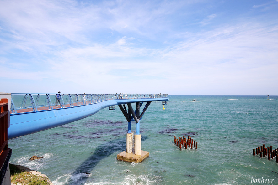 해운대 놀거리 블루라인파크 해변열차 스카이캡슐 할인과 청사포 다릿돌 전망대