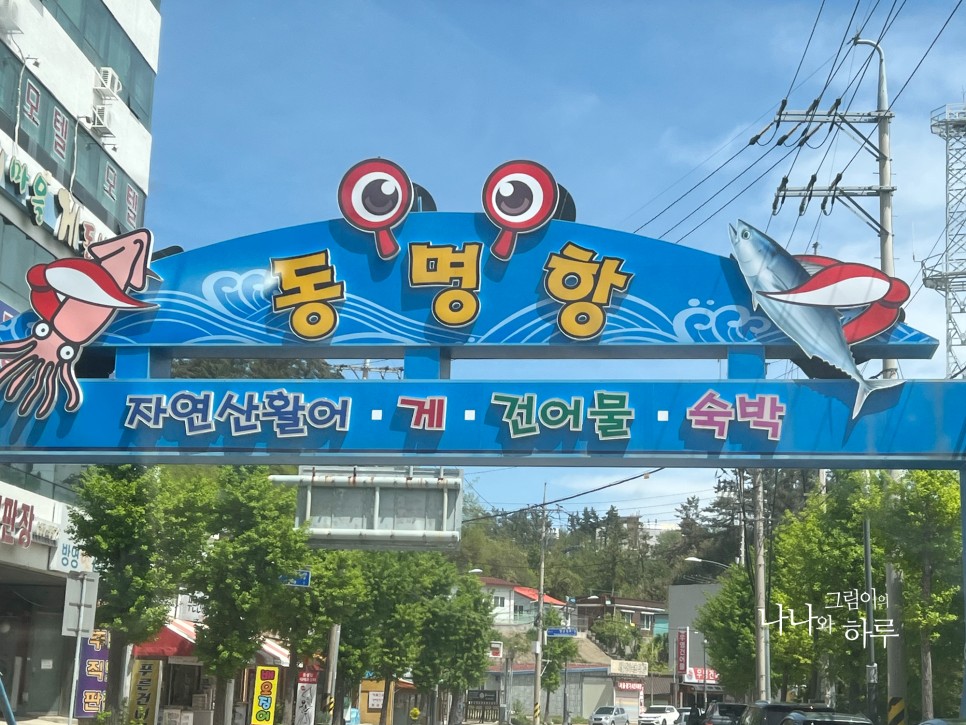 속초 동명항 회센터 영금정 보고 바다 보고 한입