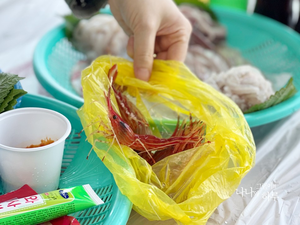 속초 동명항 회센터 영금정 보고 바다 보고 한입