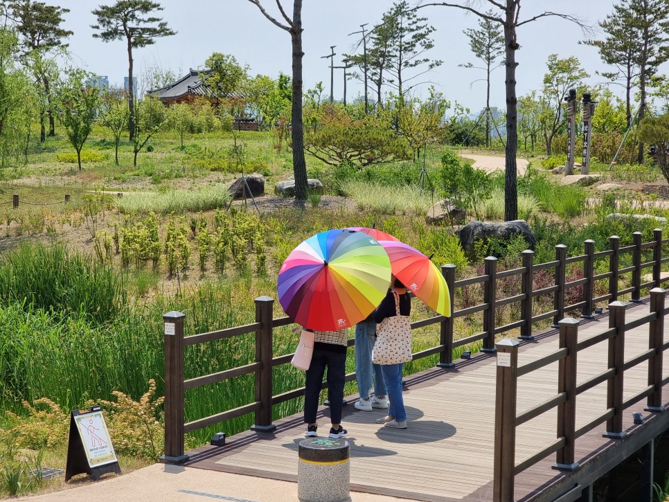 대전 근교 가볼만한곳 국립세종수목원 실내 수목원 데이트