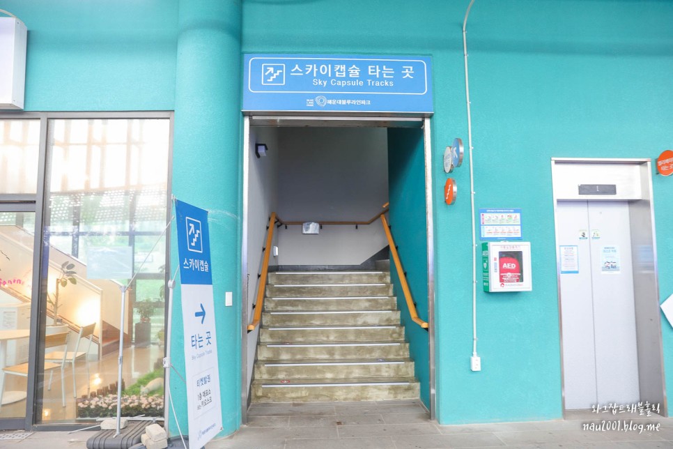 부산 해운대 블루라인파크 할인 해변열차 스카이캡슐 예약