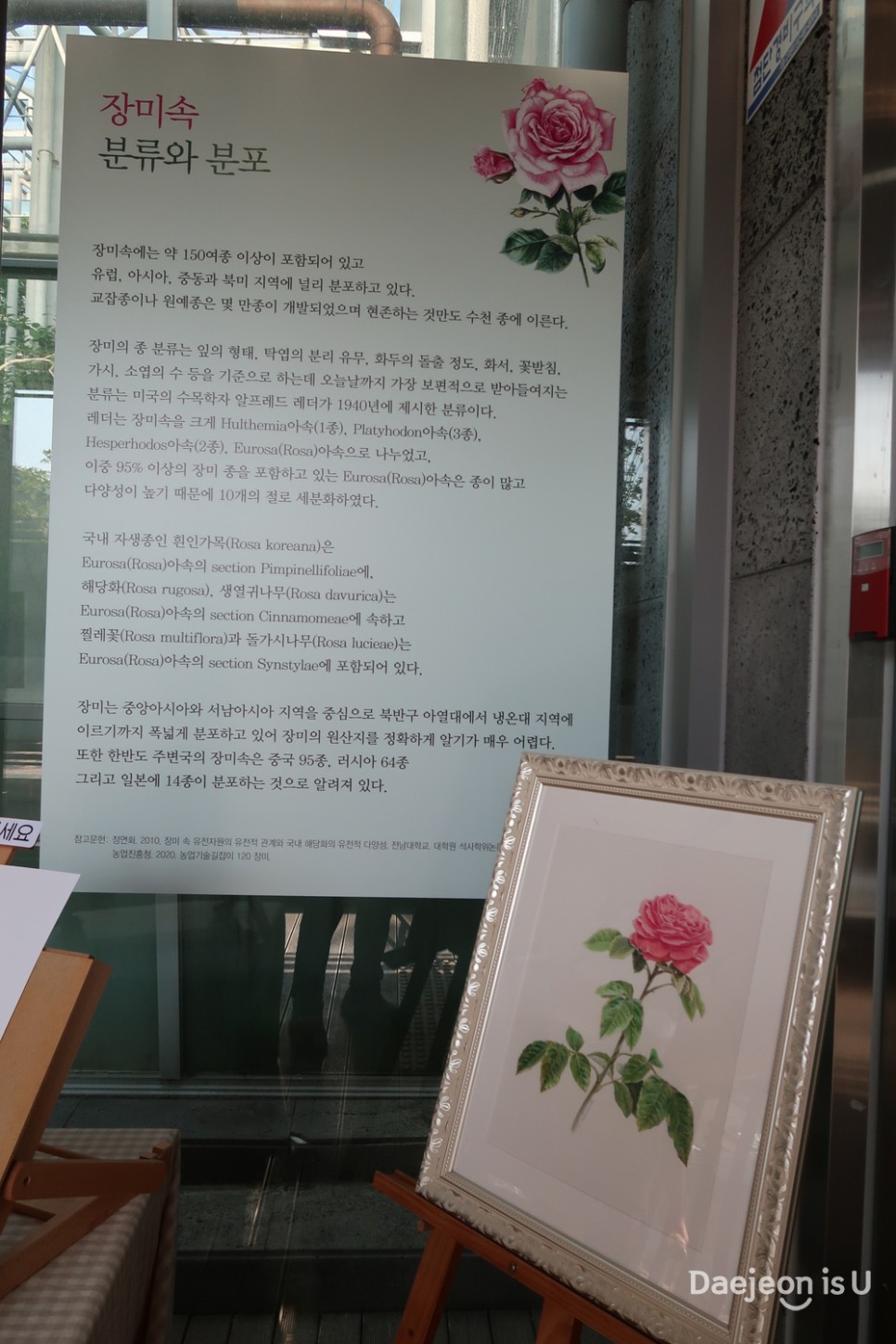 한밭수목원 열대식물원 오!월에 장미! 보타니컬아트展
