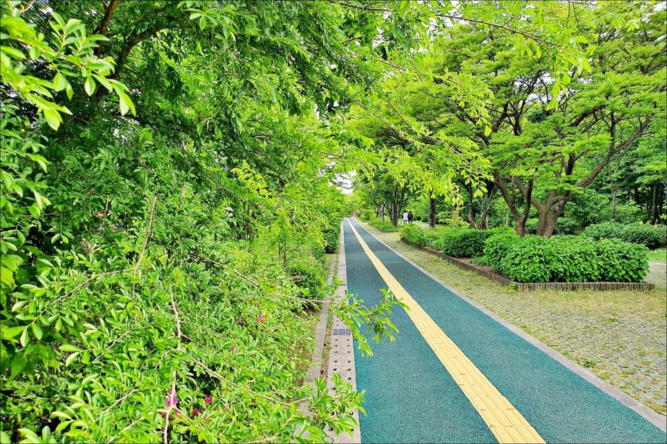 제주도 택시투어 제주 여행이 편했던 택시대절!