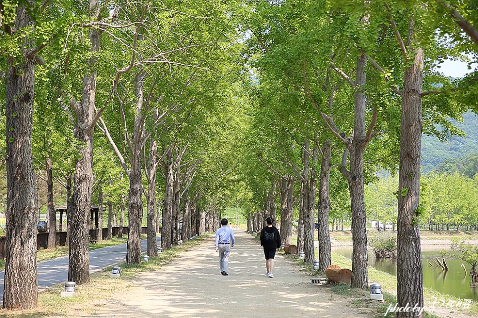 충북 가볼만한곳 괴산 문광저수지 충북 여행 드라이브