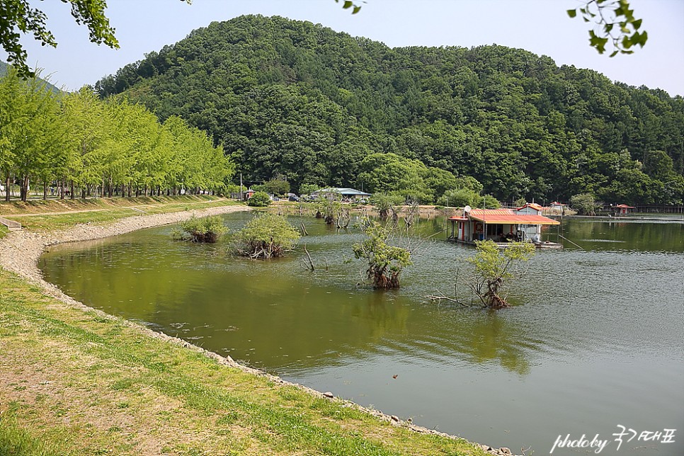 충북 가볼만한곳 괴산 문광저수지 충북 여행 드라이브