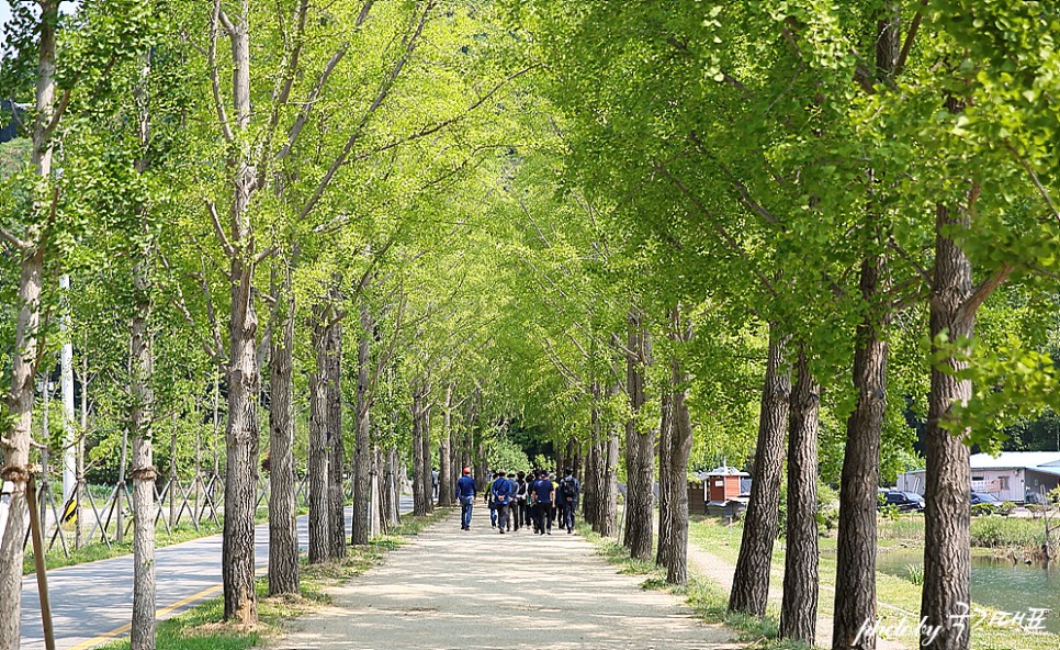 충북 가볼만한곳 괴산 문광저수지 충북 여행 드라이브