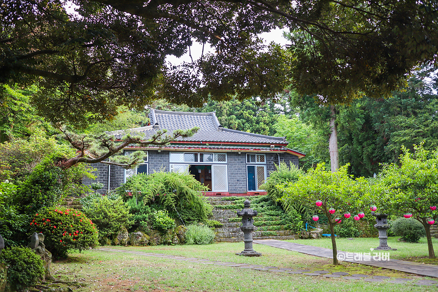 6월 제주도 여행 제주수국 가득한 남국사 절 산책