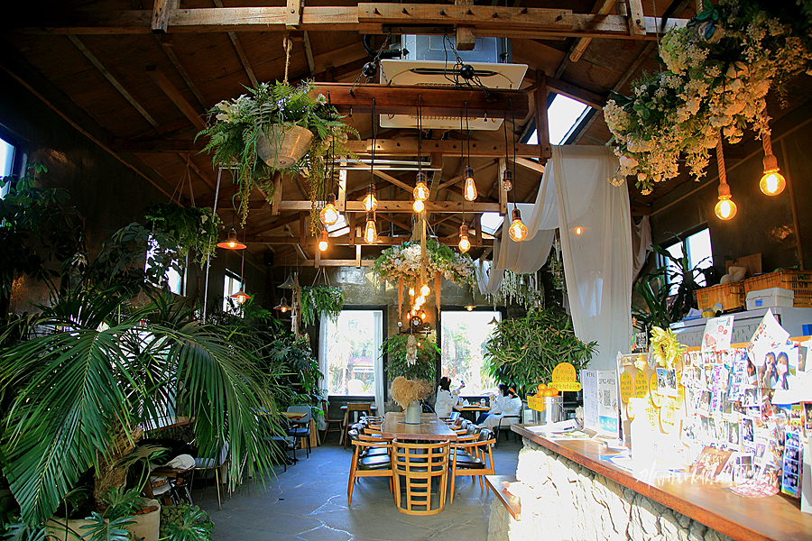 서귀포 카페 대정읍 식물원과 동물 체험 이색적인 제주 예쁜 카페