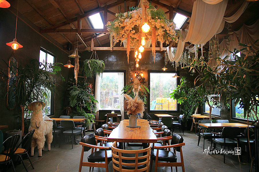 서귀포 카페 대정읍 식물원과 동물 체험 이색적인 제주 예쁜 카페