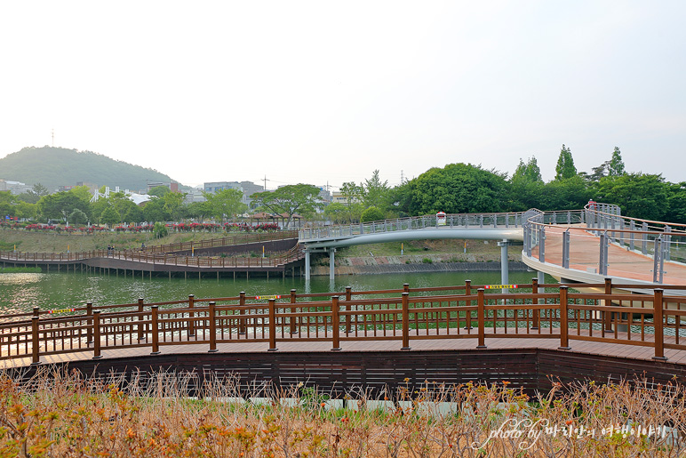 5월 꽃구경 여수 여행 성산공원vs이순신공원 여수 5월에 가볼만한곳