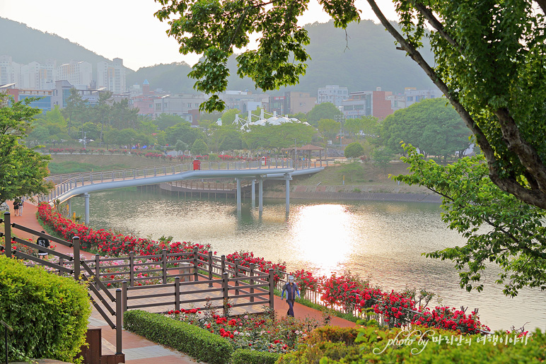 5월 꽃구경 여수 여행 성산공원vs이순신공원 여수 5월에 가볼만한곳