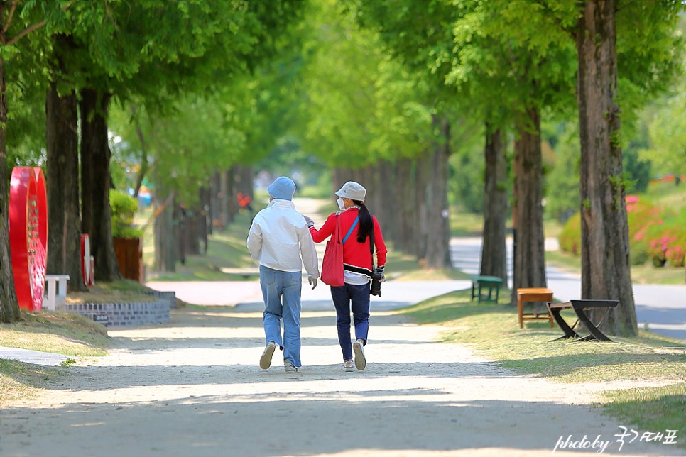 전남 순천 가볼만한곳 드라이브 코스 순천 먹거리