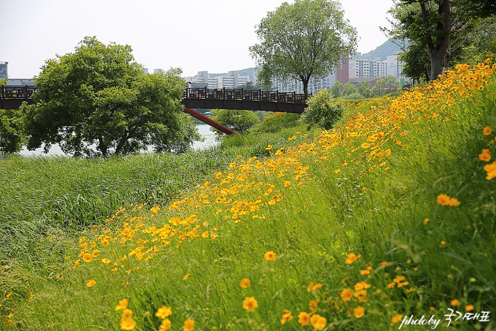 전남 순천 가볼만한곳 드라이브 코스 순천 먹거리