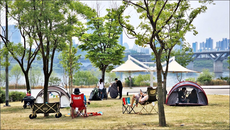 한강텐트 추천 한강피크닉 장소 뚝섬유원지 한강공원 텐트 대여!