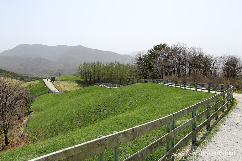 강원도 대관령 순수양떼목장 평창 여행 코스 가족여행 추천