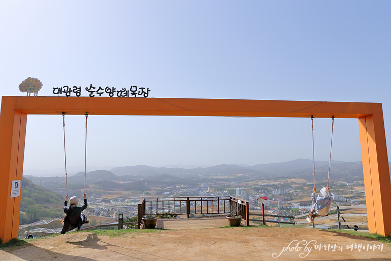 강원도 대관령 순수양떼목장 평창 여행 코스 가족여행 추천