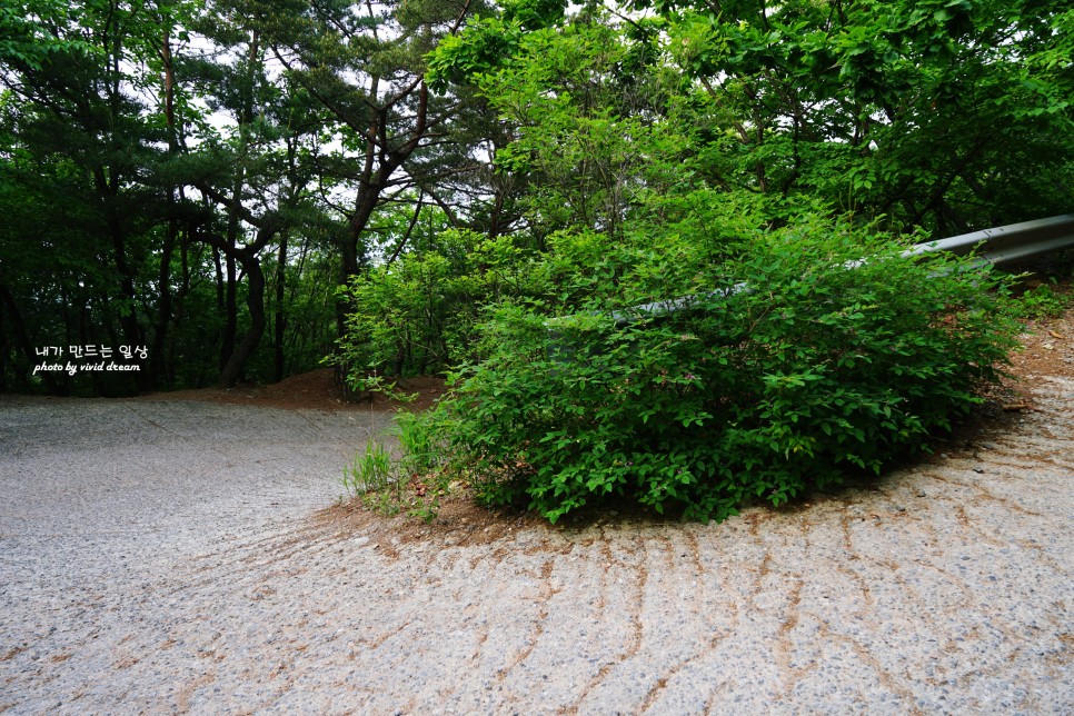 남양주 절 가볼만한곳 운길산 수종사