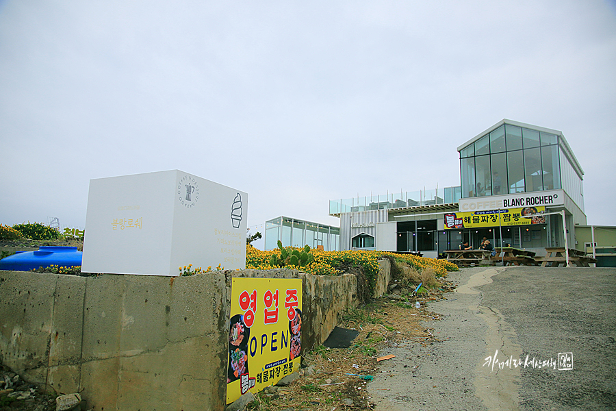 서귀포 여행 코스 제주 가파도 배시간 청보리밭 황금빛 넘실~