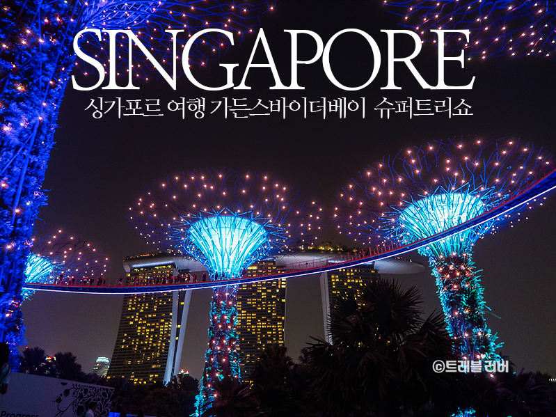 해외여행 가능국가 싱가포르 여행 가든스바이더베이 슈퍼트리쇼