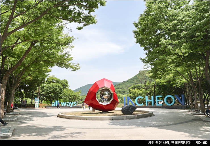 인천대공원 장미 장미원 꽃구경 인천 여행 명소 나들이