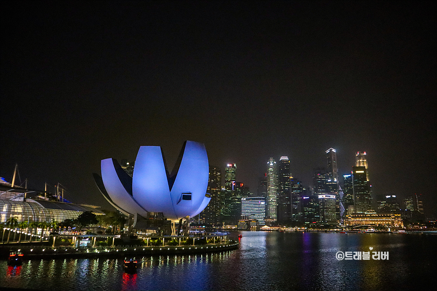 해외여행 가능국가 싱가포르 여행 가든스바이더베이 슈퍼트리쇼