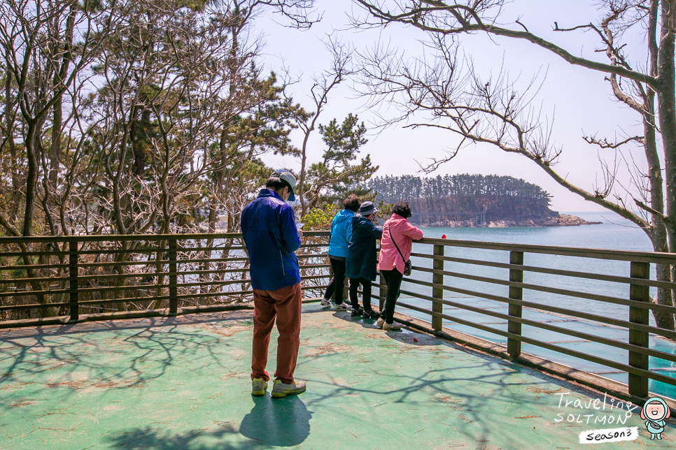 충남 태안 가볼만한곳 충청도 바다 당일치기 태안먹거리