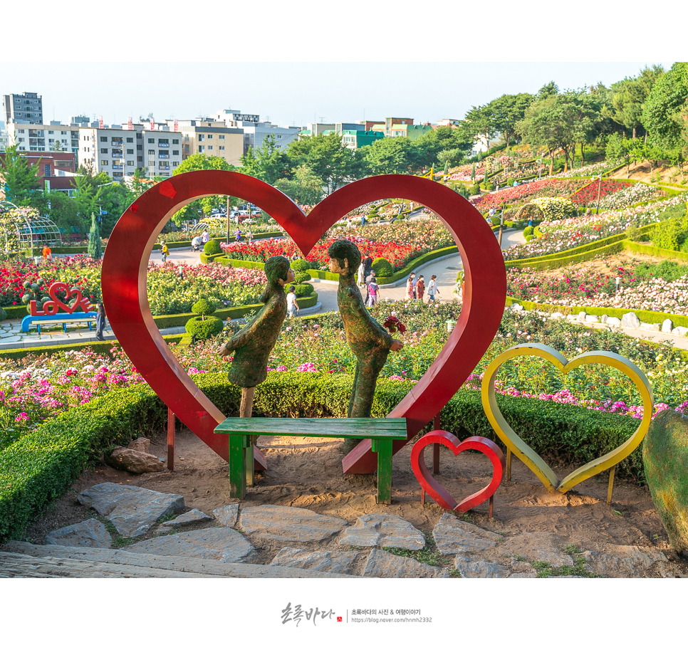 부천 백만송이 장미원 장미축제 꽃구경