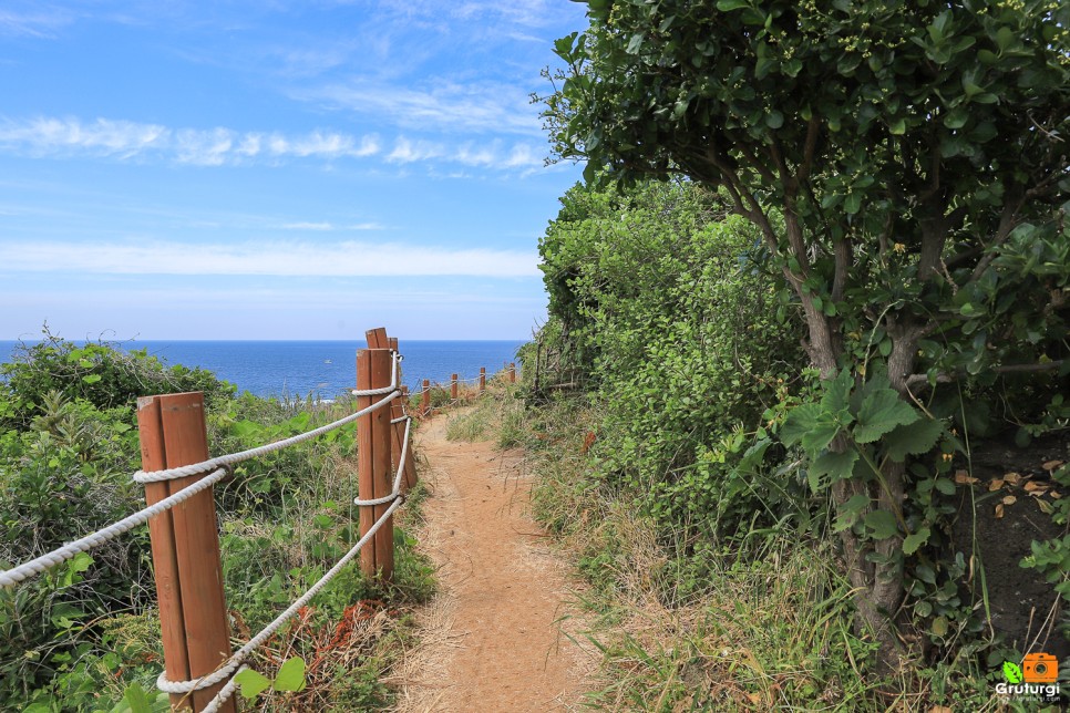 제주도 해수욕장 함덕 해수욕장 서우봉해변 함덕서우봉둘레길