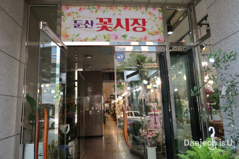 아름다운 꽃으로 가득한 둔산 꽃시장