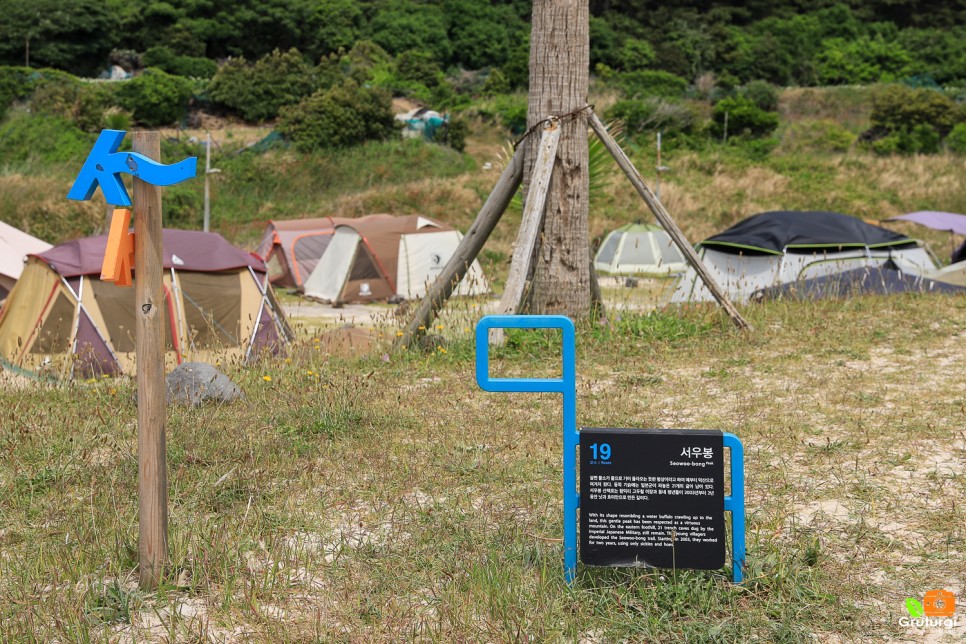 제주도 해수욕장 함덕 해수욕장 서우봉해변 함덕서우봉둘레길