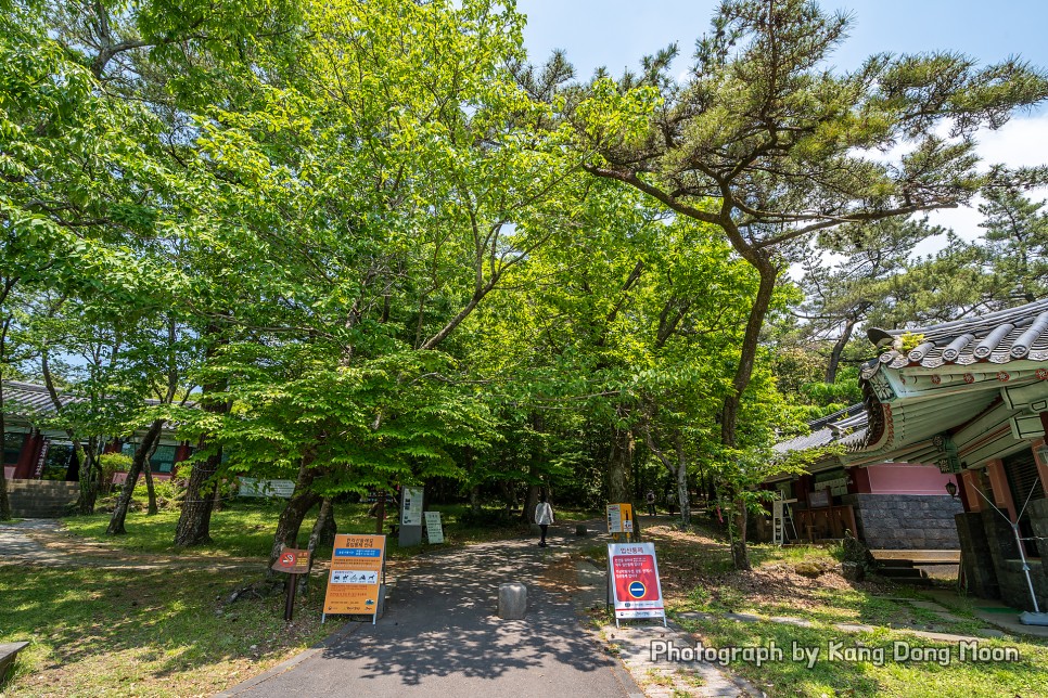 제주도 한라산 등산코스 제주 숲길 명소 서귀포 여행 코스 한라산 둘레길