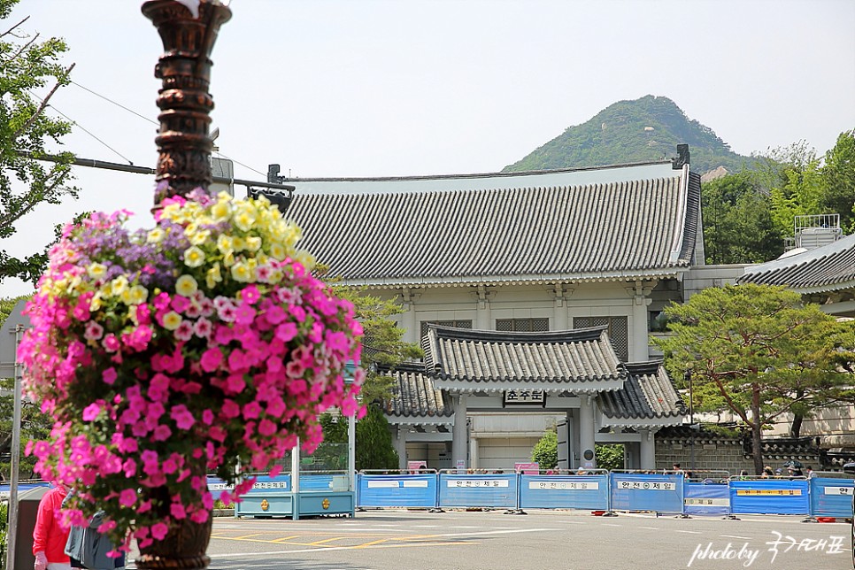 청와대 관람 신청 청와대 개방 예약 가는길 뒷산과 사랑채