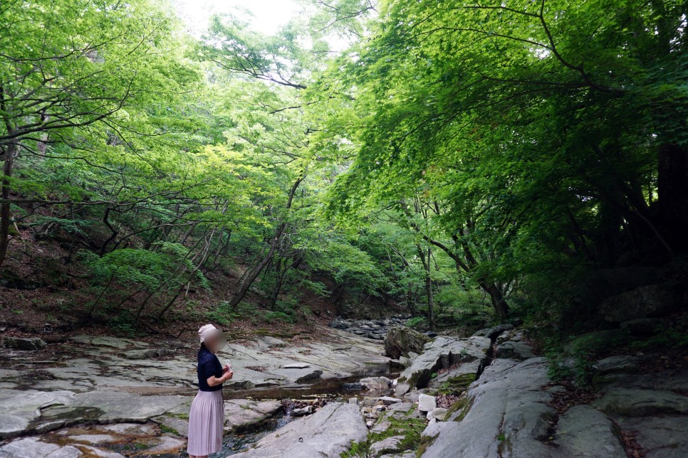 공주 가볼만한곳 갑사, 동학사 계곡 포함 여름 사찰 여행 3곳